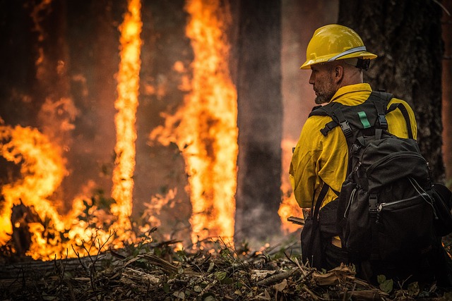 Firefighter in front of forest fire